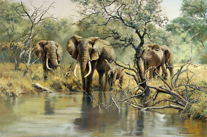 Elephants at a Waterhole