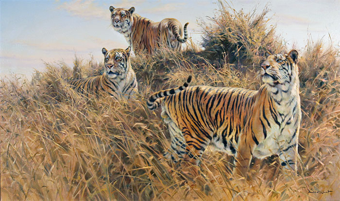 Tiger Trio